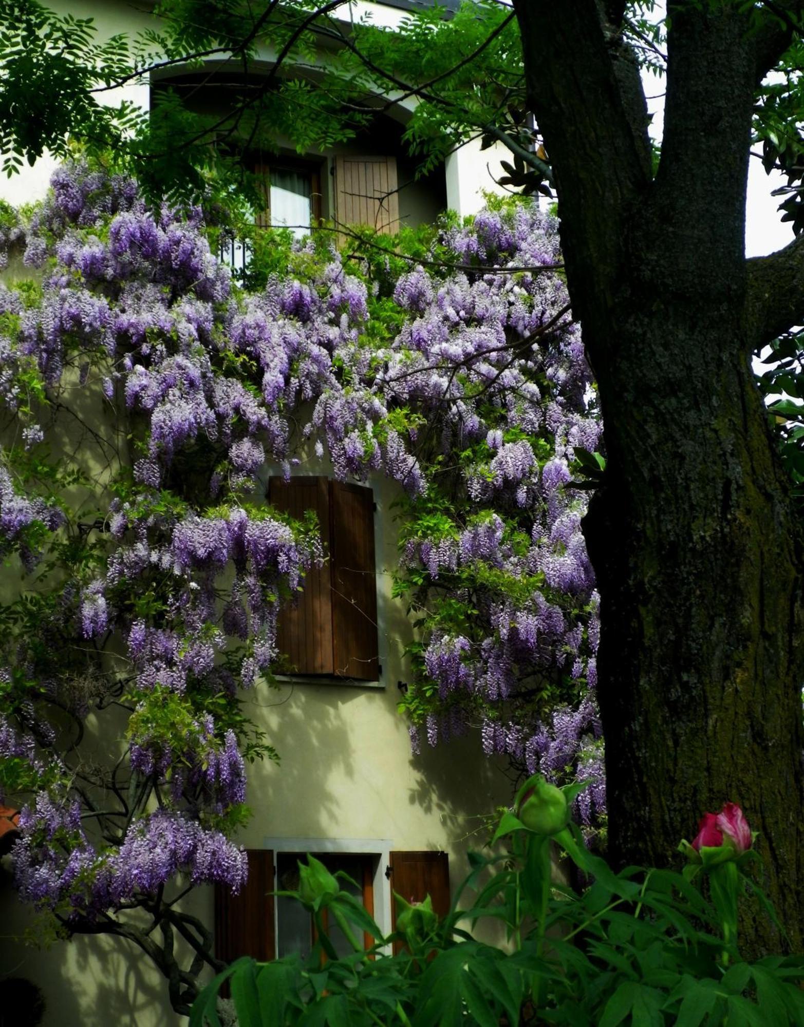 Le Querce Hotel Salsomaggiore Terme Exterior photo