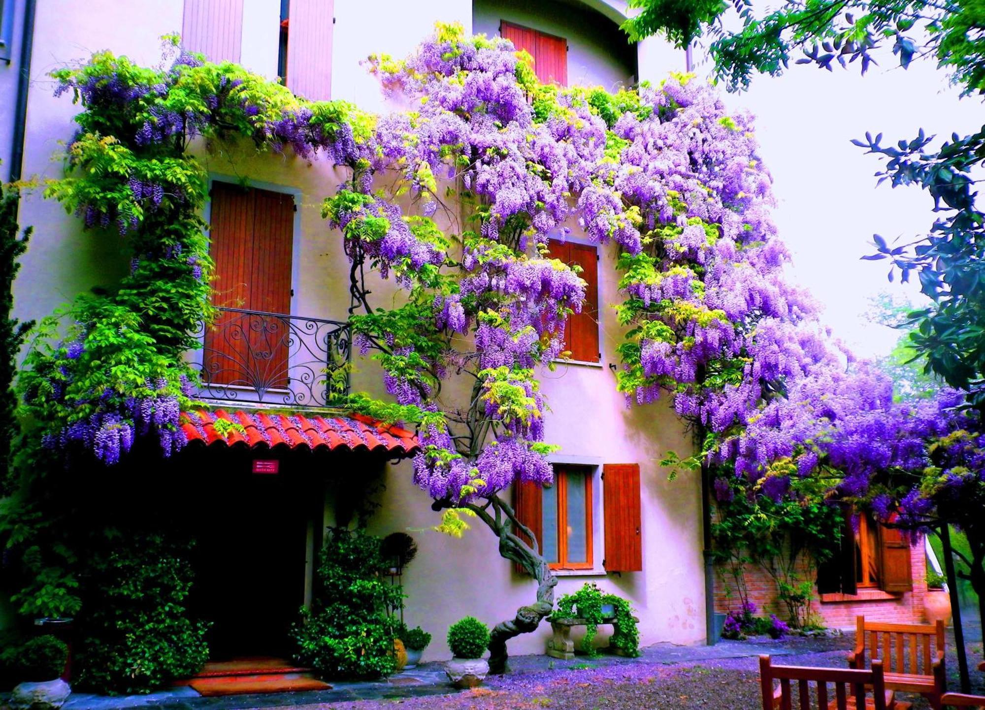 Le Querce Hotel Salsomaggiore Terme Exterior photo